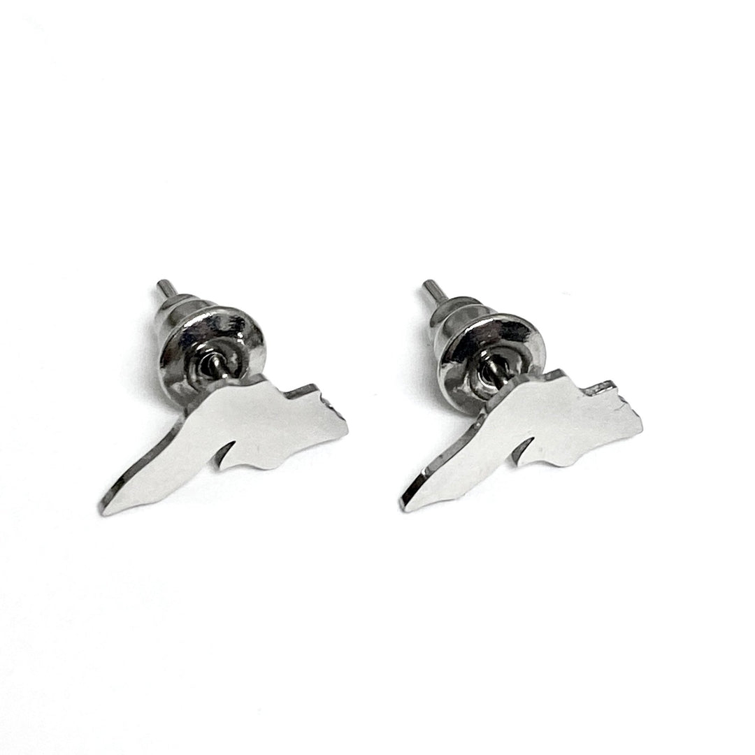 Lake Superior Post Earrings - Be Inspired UP